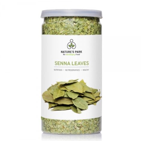 seena_leaves